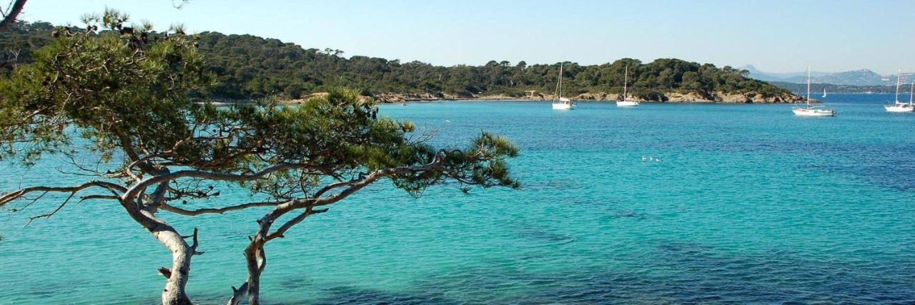 Spacieux Studio Sur Le Port De Hyères Eksteriør bilde